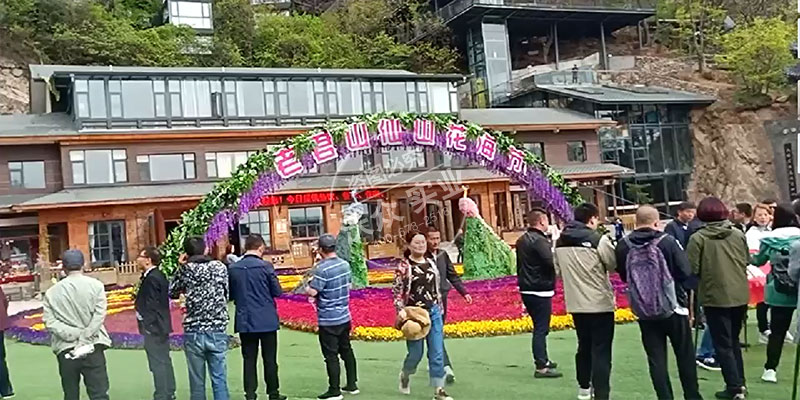 老君山花廊霧森造景項(xiàng)目